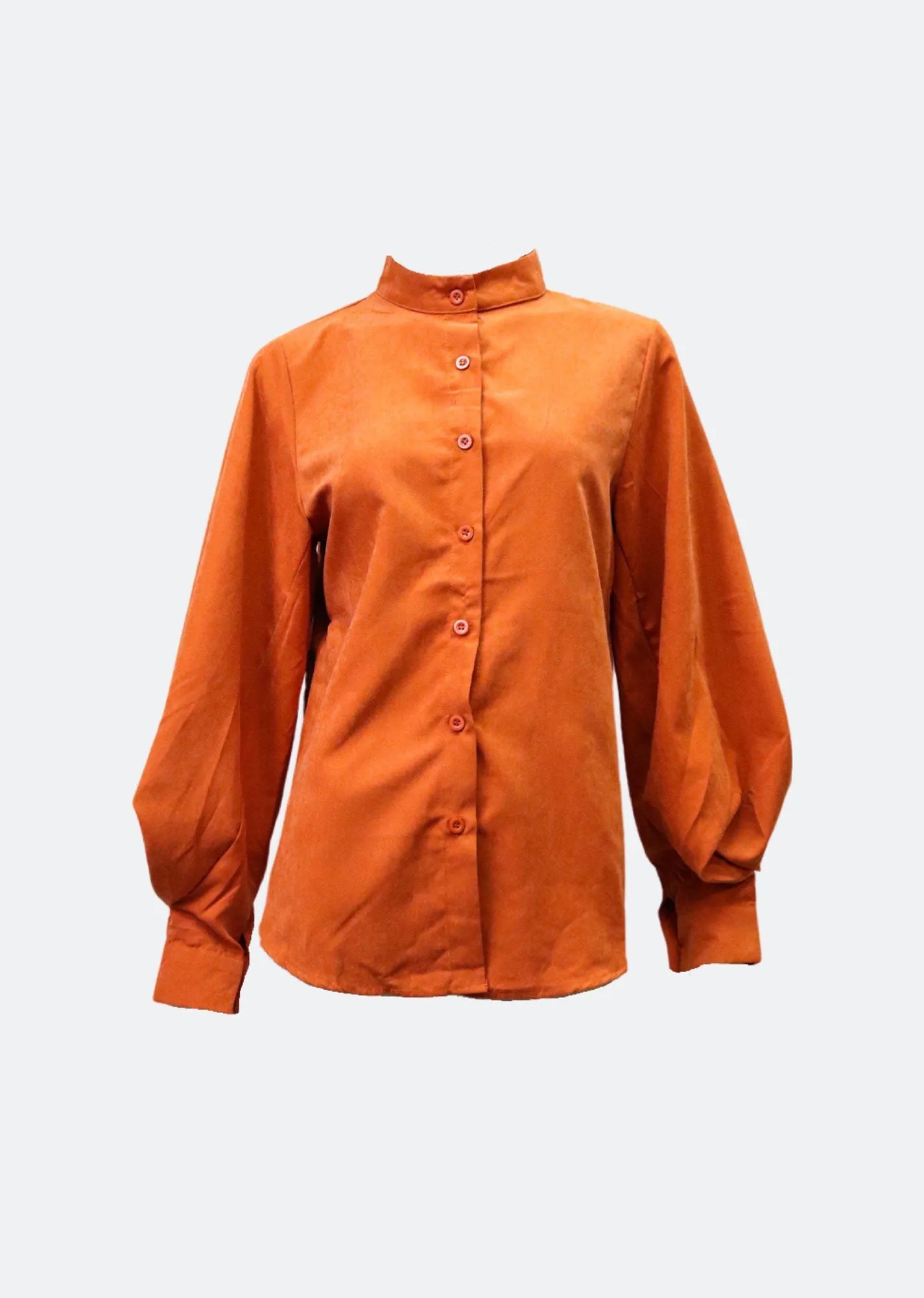 Bishopville Suede Shirt Blouse