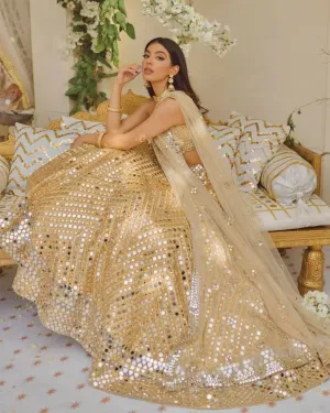Bollywood Silk Lehenga Choli With Sequence &amp; Embroidery Work With Soft Net Dupatta For Women, Indian Chaniya Choli
